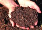Mulch Time