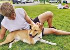 Let Love Live receives $25,000 grant from PetSmart Charities to help transport homeless pets