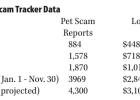 Online puppy scams on the rise