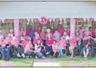 Painting Southern Wind pink
