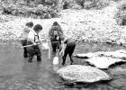 NTCC biology program makes potential new species discovery in Arkansas
