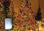 Each tree has its carol written beside it so that one can read each verse as can be seen with this one, “The Holly and the Ivy.” Sparkling exhibit showcases past and future Christmas prophecies