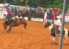 Views from the Pittsburg Rodeo