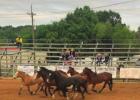 Views from the Pittsburg Rodeo