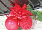 PEDC sponsors Christmas display contest