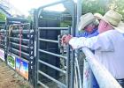 Bubba Sample conferring with long time rodeo cowboy Ronald Sinclair, from Mt Vernon Bubba Sample conferring with long time rodeo cowboy Ronald Sinclair, from Mt Vernon